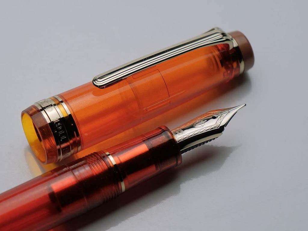 Sailor Fountain Pen Fountain Pen World Tea Time Christmas Tea Christmas Spice Medium Fine 11-2921-373