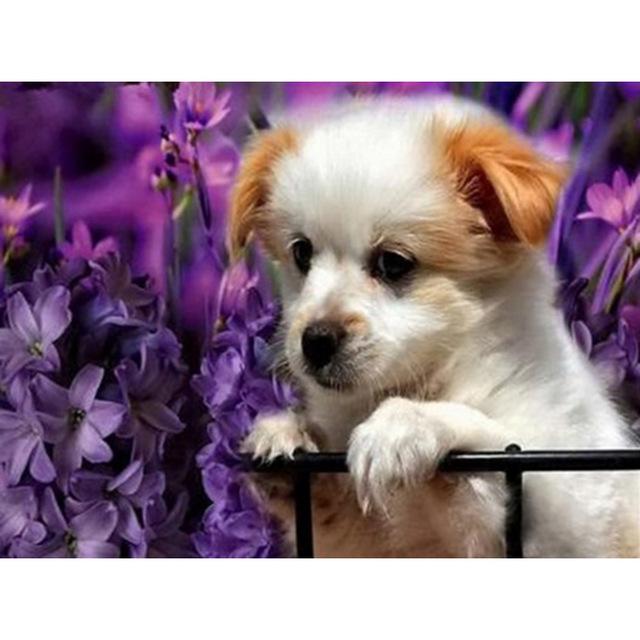 DIY 5D Алмазная картина Собака Милый питомец Вышивка крестом Алмазная вышивка Животное Мозаика Полный дрель Круглый