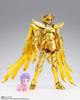 TAMASHII NATIONS Saint Cloth Myth EX Saint Seiya Стрелец Эол, раскрашенная подвижная фигурка размером 180 мм 4573102608369 [Издание Revival] Прибл.
