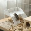 with Suction Cups Turtle Basking Platform Double Ladder Reptile Terrace  Aquatic Turtles