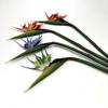 Artificial Flower Lifelike Bird of Paradise Realistic Non-fading And Low Maintenance Home Decoration