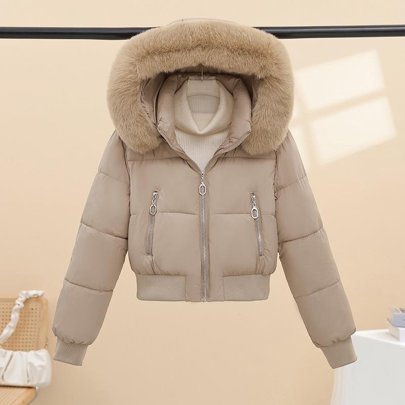 Autumn and winter high waist short hooded big fur collar cotton clothes women's thickened bread cotton clothes small women's clothing one piece batch