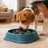 Новая миска для медленного кормления питомцев, миска для медленного кормления для собак, миска для собак, посуда для питомцев с защитой от опрокидывания, миска для медленного кормления собак
