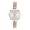 Watch 2023 25200187 Gold [Calvin Klein] Women's