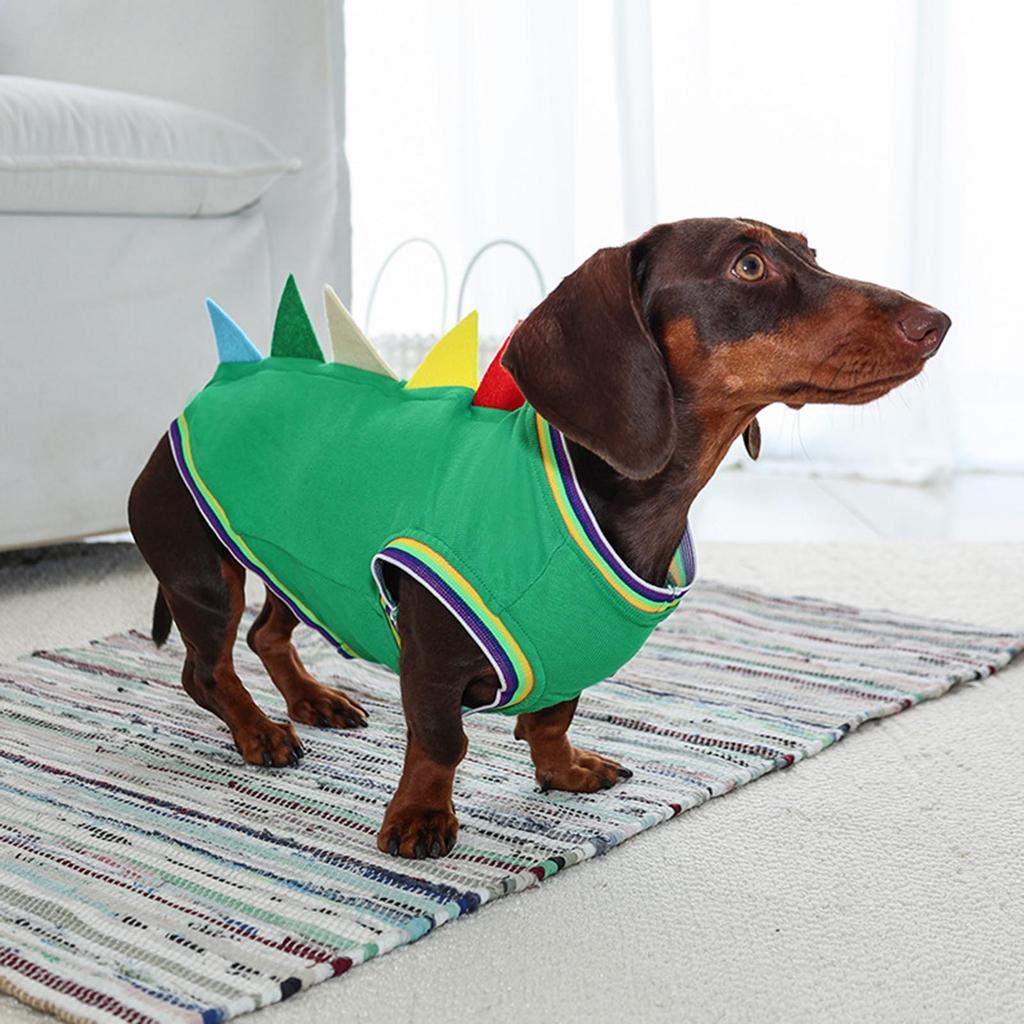 Одежда для таксы Костюм динозавра для маленькой собаки Простой в носке Наряд для косплея питомца для тематической вечеринки Хэллоуина