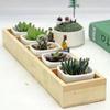 Multifunctional Succulent Flowerpot Tray Multi-grids Desktop Sundries Organizer Storage Box