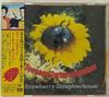 CD STRAWBERRY SLAUGHTERHOUSE - TEENAGE TORTURE TOCP8780PROMO EMI 1996 Japan ObiRock Used