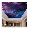 Потолок Фреска 3D Красивые Звездное Небо Обои Гостиная Спальня Потолок Настенная Фреска Декор