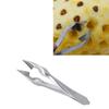 Stainless Steel Pineapple Peeler Corer Slicers Seed Clip Fruit Salad Kitchen Tools