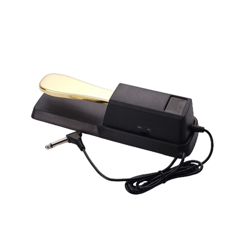 Anti-Slip Piano Sustain Pedal 2 Color Sound Delay Pedal Electric Piano Keyboard Electronic Organ