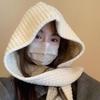 Women's Autumn Winter Thickened Warm Wool Blend Hat and Scarf Integrated Knitted Hat with Scarf