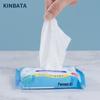 kinbata Shoe Cleaning Essentials