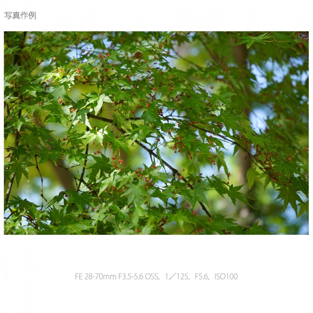 Sony Стандартный зум-объектив FE 28-70 мм F3.5-5.6 OSS, совместимый с полноразмерными камерами