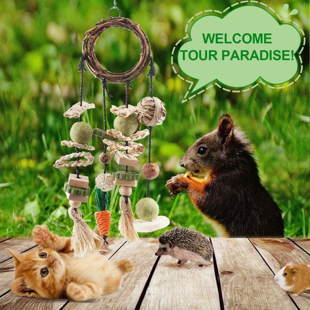 Pigs Teeth Grinding Natural Hanging Cage Accessories Molar Rattan Ring Buuny Chew Toy Rabbit Treats
