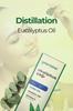 Eucalyptus Oil 20Ml