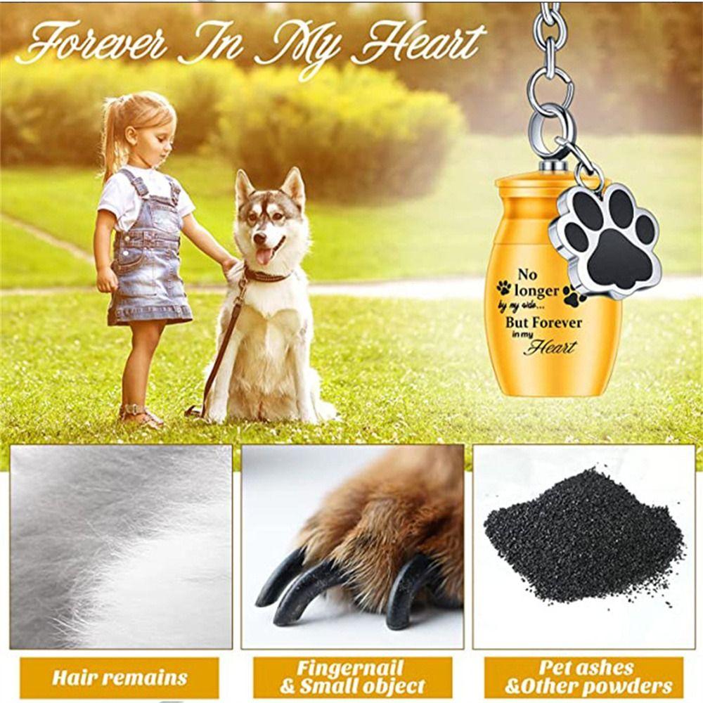 Dog Cat Ashes Pet Urns Keychain Paw Print Pet Urns Keyring Dog Ashes Keepsake  Cremation Jewelry
