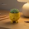 Мини-горшок для цветов, 3D-печать, милые горшки с улыбкой для растений, кашпо для суккулентов для комнатных растений, настольный контейнер, забавный маленький цветочный горшок, уникальное кашпо