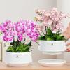 Moisturizing Meshpot Orchid Pot Thickening Root Control Flowerpot Growing Pots  Bonsai Planting