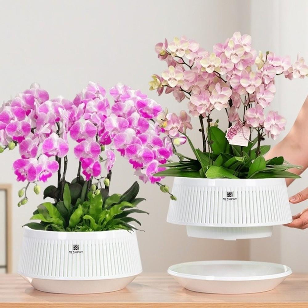 Moisturizing Meshpot Orchid Pot Thickening Root Control Flowerpot Growing Pots Bonsai Planting