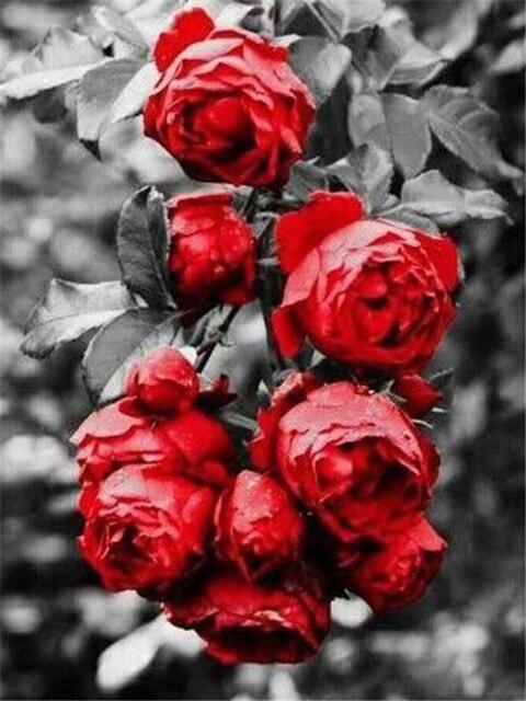 5D алмазная живопись роза Алмазная вышивка черно-белая мозаика картина из горного хрусталя украшение дома подарок