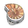 Natural Ammonite Fossil Gemstone 925 Sterling Silver Jewelry Ring Size 8 Z0w77