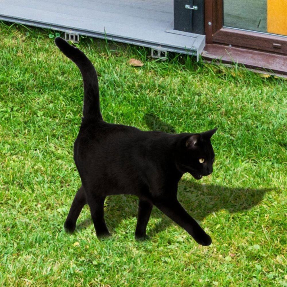 Black Acrylic Cat Stake Waterproof Simulation Black Cat Statue Cat Garden Stake  Courtyard