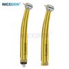 Dental High Speed Handpiece Dental Turbine 2/4 Hole Dental Handpiece with Push Button Spray Gold Color Titanium Alloy