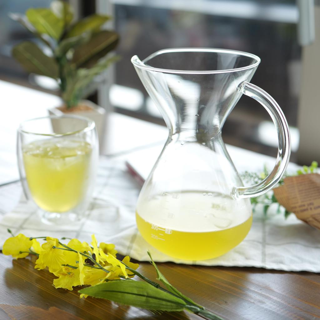 Pyrex Кофейник, 600 мл, с фильтром из нержавеющей стали, CP-8537, прозрачный