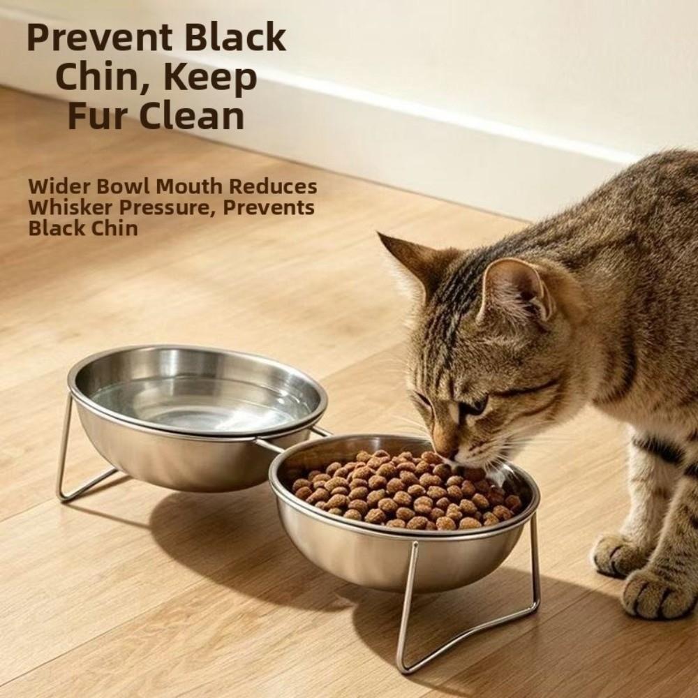 Large Capacity Stainless Steel Cat Bowl Anti-Tipping Double Water Bowls for Kitten