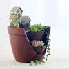 Микро-пейзаж суккулентные растения цветочный горшок смолы цветочный горшок украшение сада