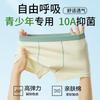 4-pack Youth Underwear: Mulberry Silk Antibacterial Development Period Growth Leave No Trace Flat Corner Pants