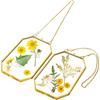 3 Pressed Flowers Glass Frames,Small Brass Floating Frame with Chain,Clear DIY Handmade Home Wall Decor for Displaying Artwork Dried Plant Specimen