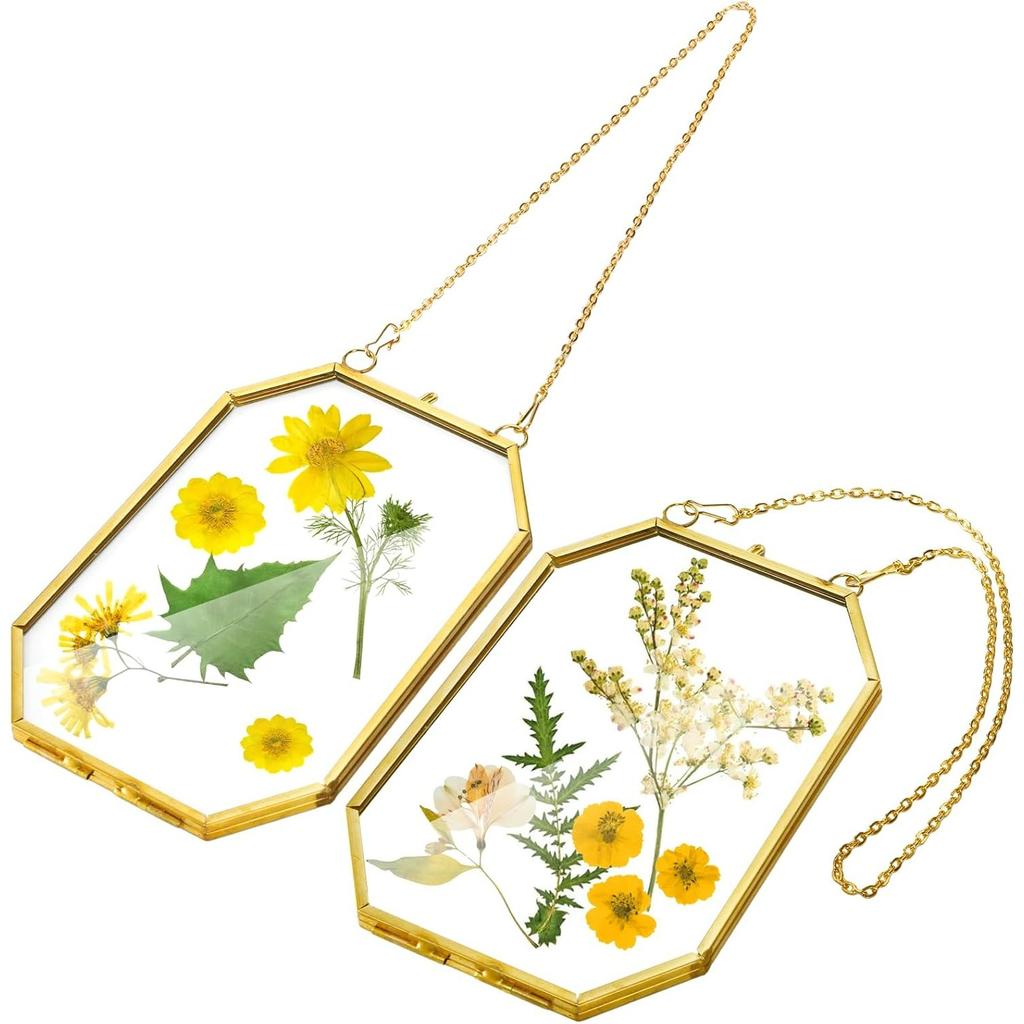 3 Pressed Flowers Glass Frames,Small Brass Floating Frame with Chain,Clear DIY Handmade Home Wall Decor for Displaying Artwork Dried Plant Specimen