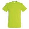 SOLS Mens Regent Short Sleeve T-Shirt