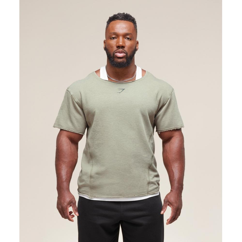 Gymshark Футболка HeriTage Washed, цвет сливово-коричневый A4a9h nc1T