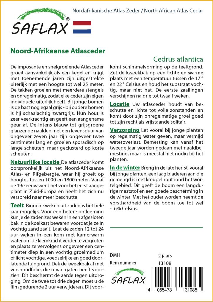 SAFLAX Североафриканский атласский кедр - 20 семян - Cedrus atlantica