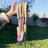Дофаминовые поводки для собак Прочные товары для домашних животных Летний тяговый поводок для собак Для улицы