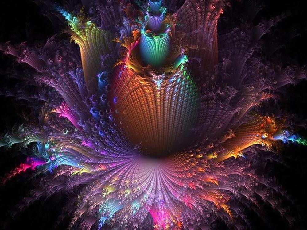 5D DIY алмазная живопись цветы Фэнтези лепестки фотографии Алмазная мозаика полная дрель стразы вышивка DIY домашний декор мозаика