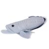 TST Advance Exciting Illustrated Guide Freshwater Silver Arowana 35cm