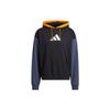 Adidas Sports Casual Long Sleeve American Hoodie Men Hoodies Black H61048