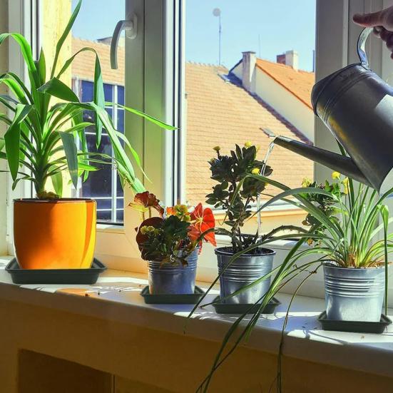 5 шт. квадратные лотки для цветочных горшков, пластиковые лотки для сбора лишней воды, разливов почвы для цветочных горшков, лоток для комнатных растений