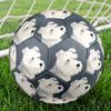 1pc Miniature Schnauzer Portrait Theme Soccer Ball Football, Size 5, Lightweight PVC, Outdoor Training Soccer Ball,Gift c65139