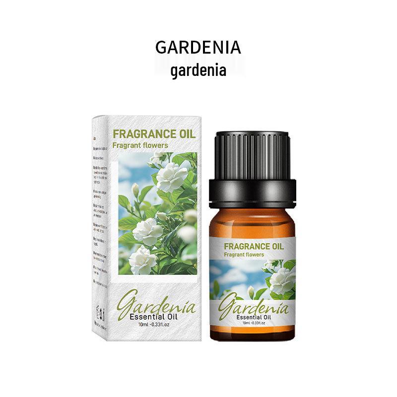 Диффузор и сменный блок для эфирных масел 10 мл – Каменная аромамашина с долговечным дезодорирующим ароматом