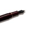 Платиновая перьевая ручка Century Burgundy Extra Fine Pen #3776 PNB-15000#71-5