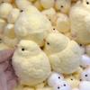 Желтая Большая Курица Плюшевая Силиконовая Сквиши Зажимаемые Игрушки Милая Курица Цыплята Таба Сжимающая Игрушка Пушистая Игрушка-Антистресс Снятие Стресса с Рук