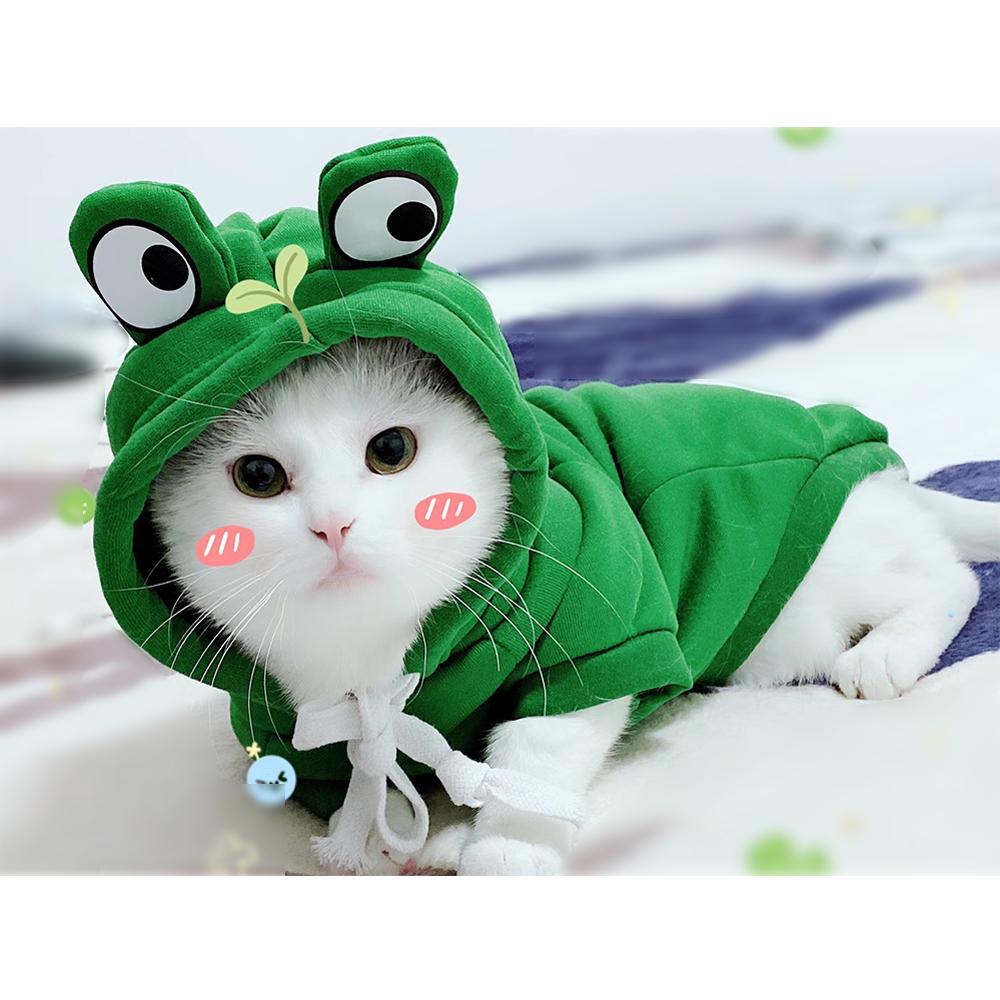 Мягкая зимняя одежда с капюшоном для собак с фруктами, милый костюм для собаки, свитер для собаки, толстовка для холодной погоды, пальто для домашних животных для щенков, маленьких средних собак, кошек, теплая одежда для собак