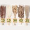 Source Yunnan Dried Flower Bouquet Combination, Real Flower Pampas Grass Home Decoration Reed Rabbit Tail Grass Dried Flowers