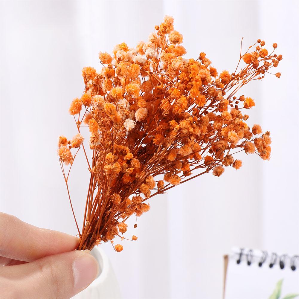 Натуральные Материалы Домашний Декор Живые Цветы Мини Гипсофила Натуральные Сушеные Букеты Растительные Стебли