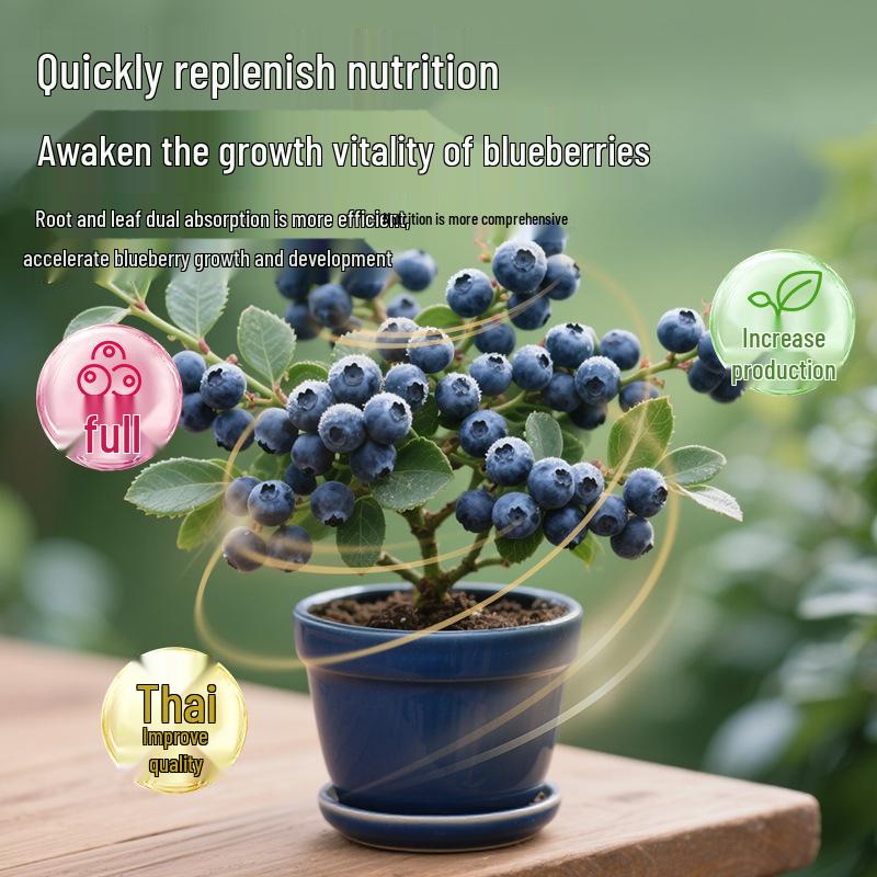 Специальный питательный раствор для голубики: Органическое подкисляющее удобрение для голубики в горшках, возвращает желтым листьям зеленый цвет