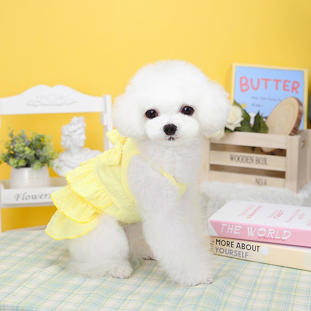 New Pet Clothes Spring and Summer Dog New Skirt Dog Clothing Teddy Small Dog Skirt Candy-colored Layered Skirt
